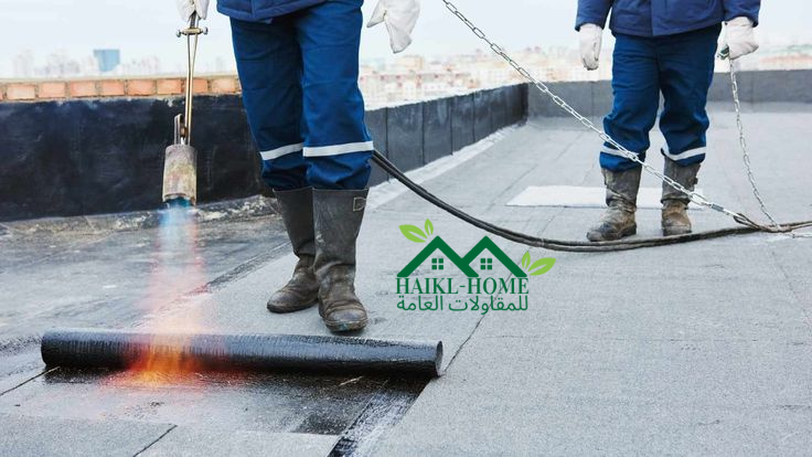 تصميم بدون عنوان (12)