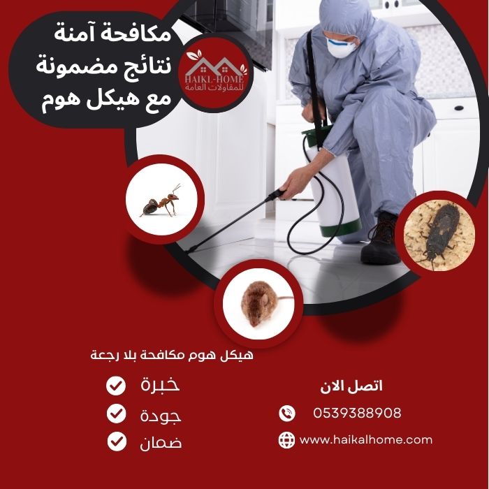 شركه مكافحه حشرات في الرياض