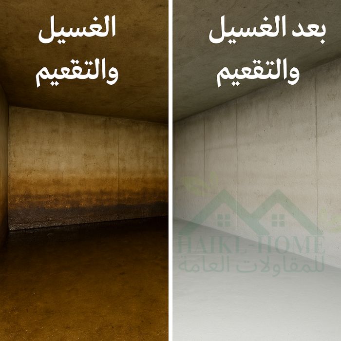 تصميم بدون عنوان (1)