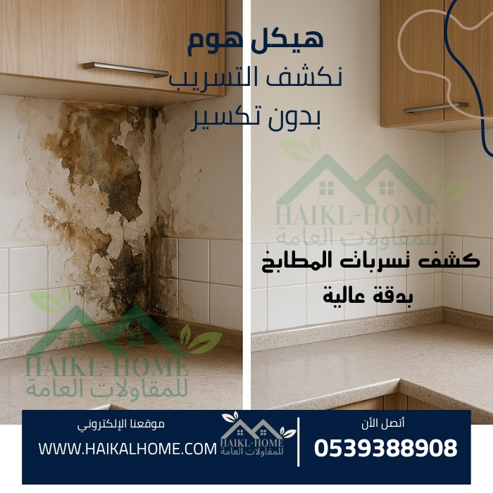 شركة هيكل هوم (1)